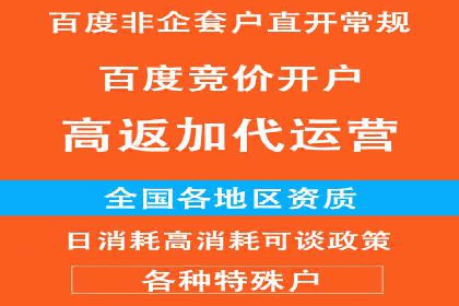 充值高返点策略：成功案例分析与解读